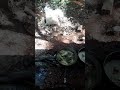 Comida Rústica
