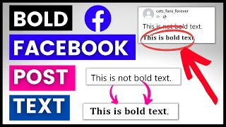 How To Bold Text On A Facebook Post? [in 2023]