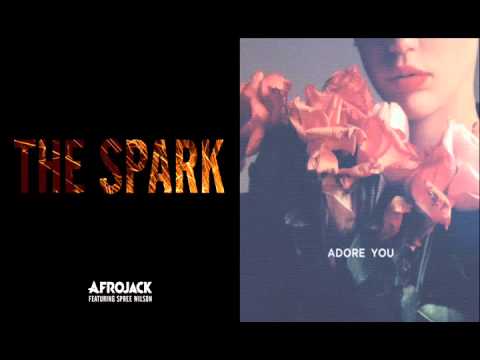 Afrojack feat. Spree Wilson VS Miley Cyrus - Adore The Spark