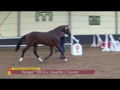 KN 44 v. Casalito – Cascari, *2013