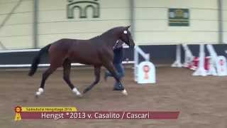 Video di sconosciuto