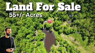 Land For Sale | 55+/- Acres | Kentucky | Pond | Hunting