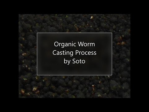 How I Harvest and Process my Worm Castings, finished from two worm bins startup 5/31/20 and 7/7/20.