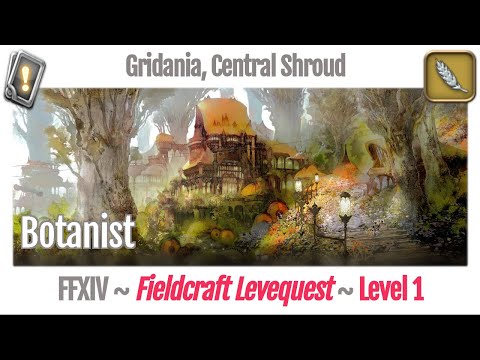 FFXIV Botanist Leves Level 1 - Gridania, Central Shroud - A Realm Reborn