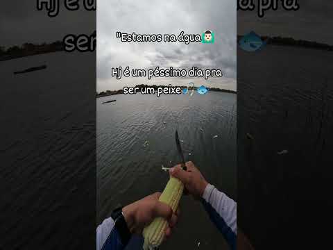 Arrumando a #ceva no Lago das Brisas em Buriti Alegre Goiás