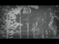 Lirik The Trees & The Wild - Zaman, Zaman