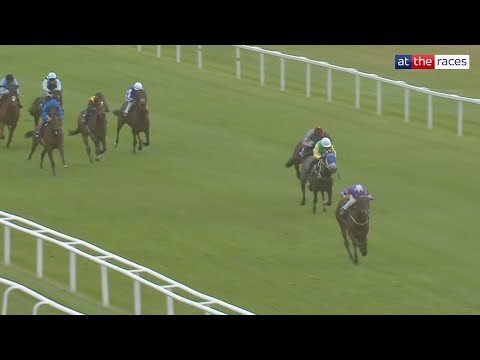 80/1 DEBUT WINNER! | Into The Sky routs them all at Newbury!
