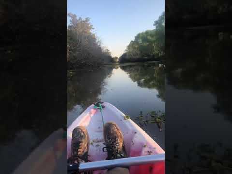 En el arroyo de santa Regina