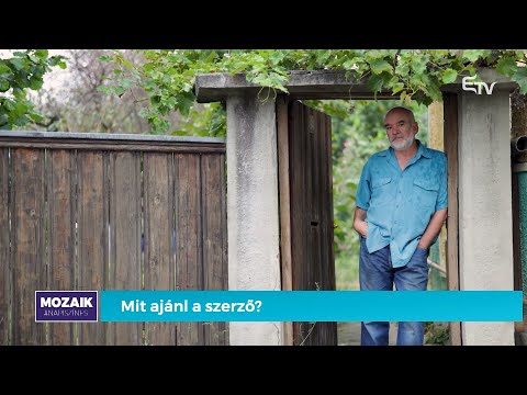 Vida Gábor író ajánl olvasnivalót a KönyvTérben