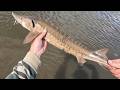 Video Thumbnail for Ice still on the Lakes? Let's Go Shore Fishing!