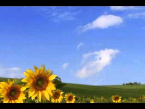 Key to the Highway Brown Sugar Blues Band