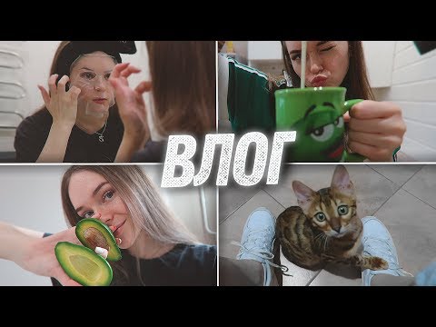 ОДИН ДЕНЬ ИЗ ЖИЗНИ СТРИМЕРШИ vika pisareva
