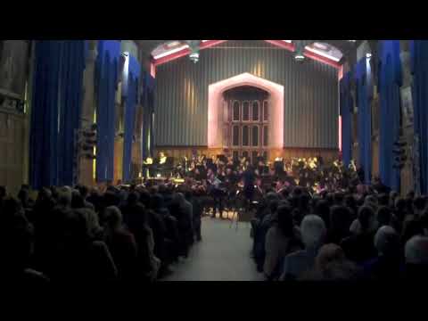 SUWO: Harlequin by Sparke