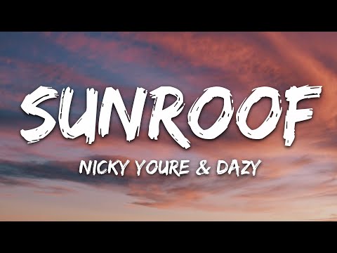 Nicky Youre, dazy - Sunroof (Lyrics)