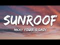Nicky Youre, dazy - Sunroof (Lyrics) Nicky Youre, dazy - Sunroof (Lyrics)