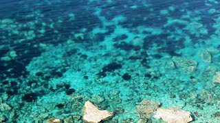 Blank & Jones - Deepest Blue (Official Video)