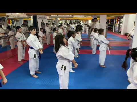 Kyokushin Karate - Eduard Ingeaua - Alpha Fighters Academy