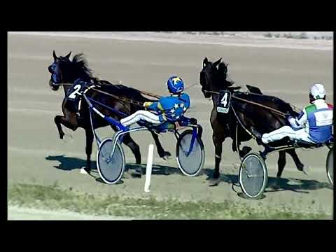 Napoli Trotto 25/01/2022 - 1ª corsa