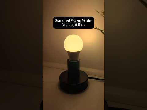 The Standard Warm White A19 Light Bulb. Perfect for home and office applications.#led #lightbulb