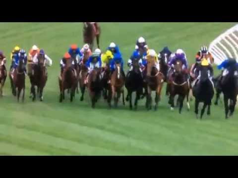 Emirates Melbourne Cup 2016 :: Almandin - Full Race/Run :: 1-11-2016