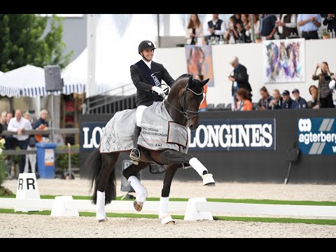 Jovian - Stallion Collection Schockemoehle & Helgstrand 2021 ENG