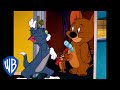 Tom Jerry In Italiano Prendimi Se Ci Riesci WB Kids
