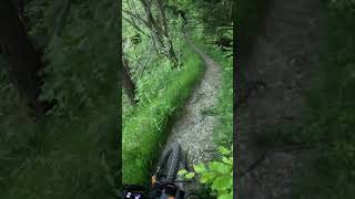 Hier solltest du auf keinen Fall runterfallen😱🤯Hörnli🤘#mtb #mtblife #fun #shorts #short #goodvibes