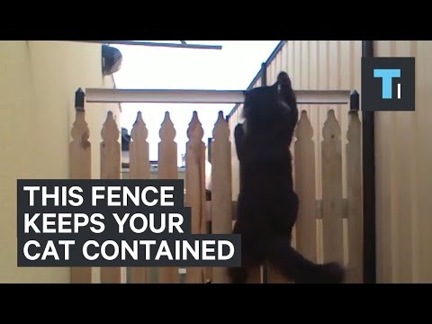 This fence will keep your cat contained