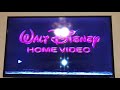 Bad News About My 1991 VHS Of WTP And The Honey Tree