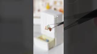 【ミニチュア】どのアイスを食べる？？【ミニチュアフード】#shorts #miniature #ハンドメイド　#ミニチュア #アイス