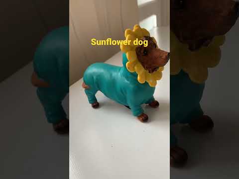 Sunflower dog.    #sunflowerdog #dog