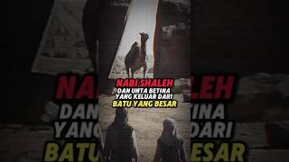 Download lagu This Miracle Camel of Prophet Salih Came Out of the Rock, But His People Killed Him. See What Hap... mp3 Download lagu This Miracle Camel of Prophet Salih Came Out of the Rock, But His People Killed Him. See What Hap... mp3