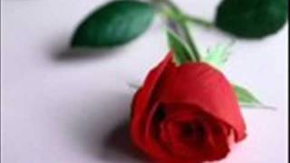 la luna ha vent'anni