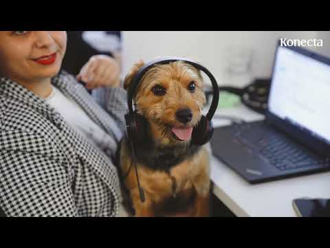 Bemutatkozó videónk