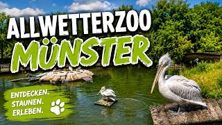 Allwetterzoo Münster 2026 – Elefanten, Giraffen & mehr!