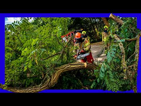 🌳 De klus leek geklaard... totdat de brandweer omhoog keek 😱🚒 - VOLUNTEERS DUTCH FIREFIGHTERS -