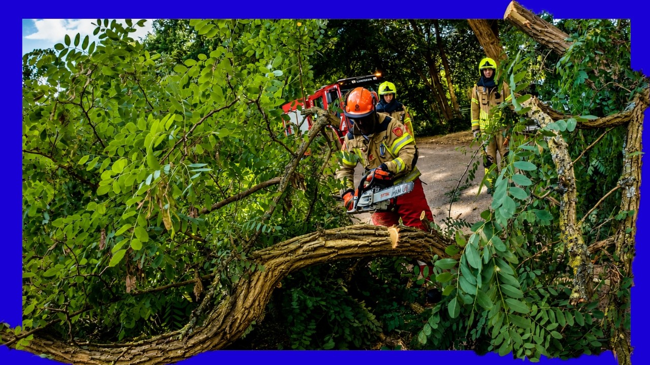 🌳 De klus leek geklaard... totdat de brandweer omhoog keek 😱🚒 - VOLUNTEERS DUTCH FIREFIGHTERS -