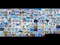 Pingu 156 Wide