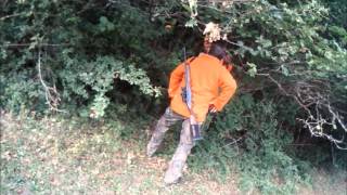 preview picture of video 'Chasse Sanglier sinard Male de 140kg.wmv'