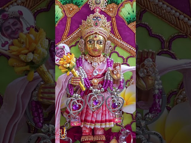 હરિકૃષ્ણ મહારાજ