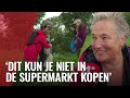 Wildplukkers jagen op eetbare planten in Amsterdamse natuur