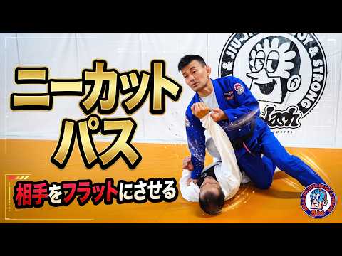 ニーカットパス