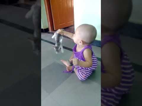 Simra playing with Cat
