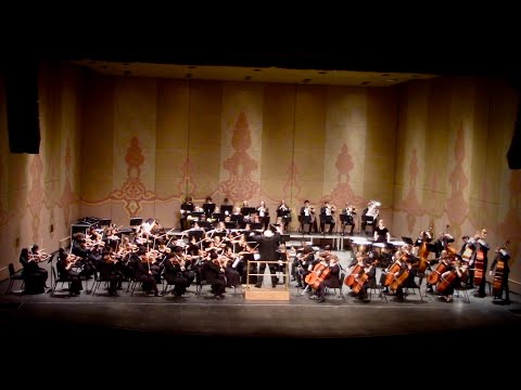 YOUTH ORCHESTRA 2024 SPRING CONCERT