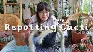 repotting some very scary cacti 😅🌵