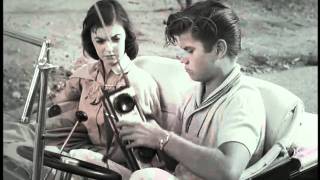 The Choppers 1961 - Blood in Three Flavours - MishMash