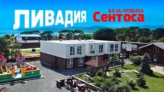 Ссылка