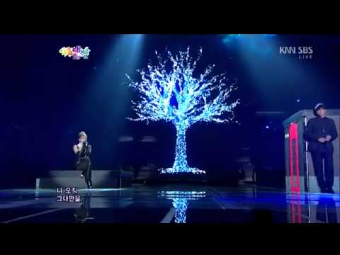 Sung Si Kyung With CL  2NE1    Because I Love You @ Gayo daejun