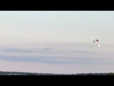 Top Rc Odyssey Maiden flight