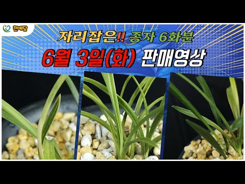 유튜브 썸네일